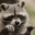 Photo de profil de death_to_israel