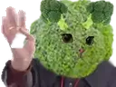 :Brocoli_salut: