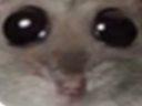 :grozyeuzoom:
