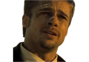 :bradpitt: