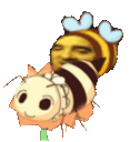 :ReineAbeilleMaxEnculades: