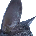 :cs_ecoute: