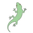 Gecko