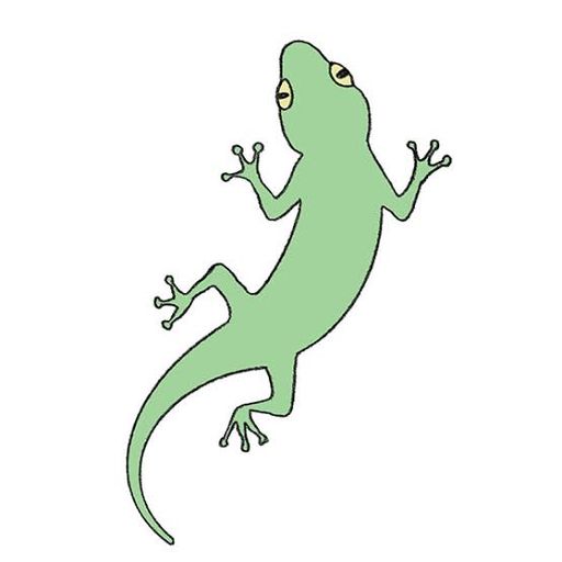 Gecko