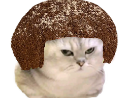:chat_tetedenegre:
