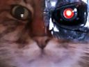 :ChatZoomT800:
