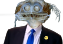 :poissoncostard: