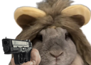 :Lapin_lion_flingue: