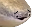 :poissontriste: