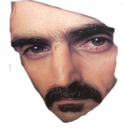 :Zappa_gros_visage: