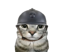 :ChatPoilu: