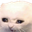 Photo de profil de OtarieEnRut