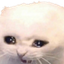 Photo de profil de OtarieEnRut