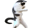 :chatfu: