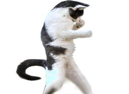 :chatfu: