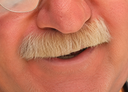 :risotto_zoom_2: