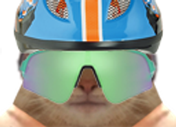 :chat_lunettes_golemvelo: