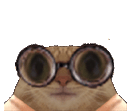 :chat_lunettes_vagues: