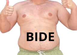 :BIDE_TOTAL: