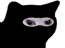 :Chatninja: