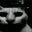 Photo de profil de PepeTheFrog