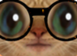 :chatoune2: