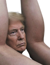 :Trumpass: