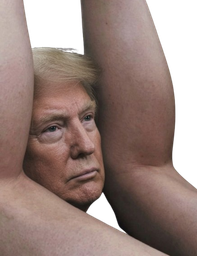 :Trumpass: