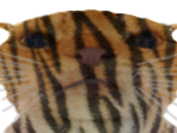 :chaktigre: