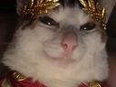:CesarChat: