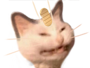 :miaouss_content:
