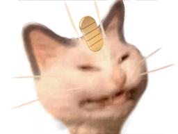 :miaouss_content: