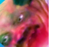 :EUGEU_PUTAIN_CHATTE: