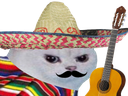 :chatMexicain: