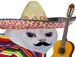 :chatMexicain: