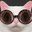 Photo de profil de ChatMalin