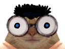:chat_stupide: