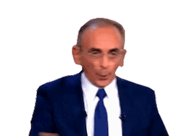 :zemmouravion: