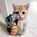 :guncat: