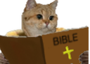 :Chat_Bible: