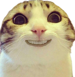 :CHAT_PEUR_1: