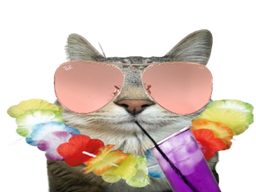 :CS_Vacance: