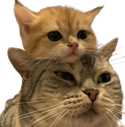 :Chatchat: