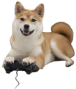 :Chien_gamer:
