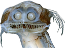 :Poisson_0: