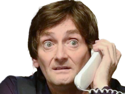 :palmade_telephone: