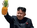 :leader_ananas: