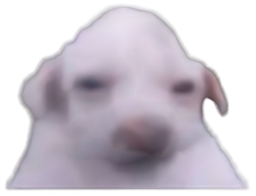 :purer3: