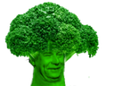 :broccolissou: