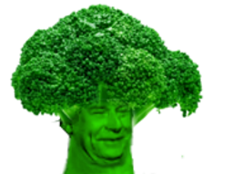 :broccolissou: